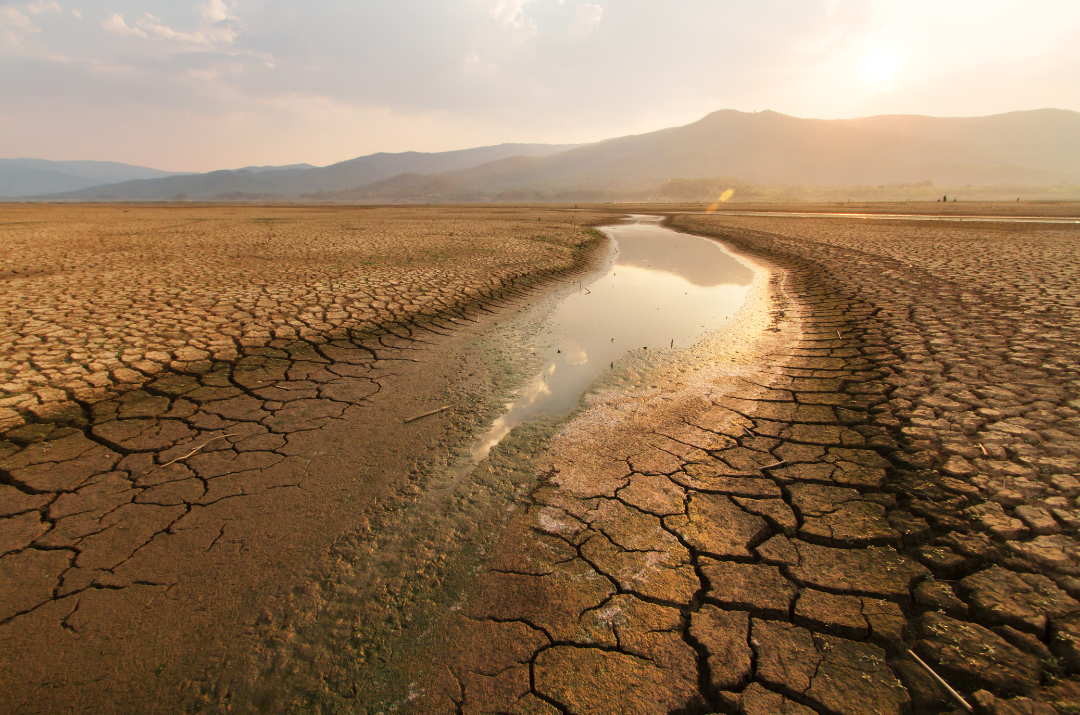 Parched and scorched earth