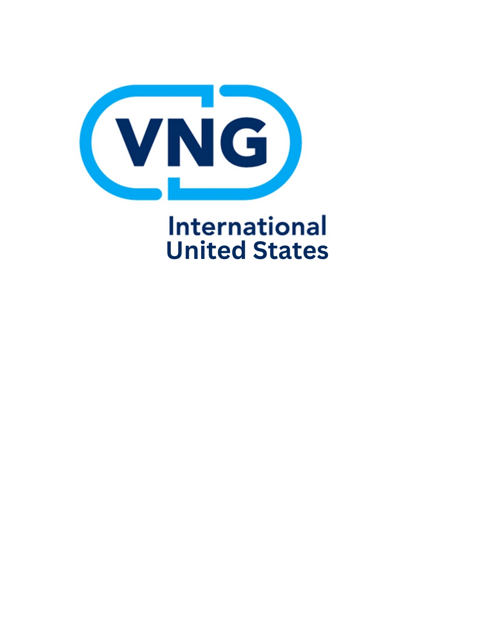 The letters VNG inside of a small blue oval