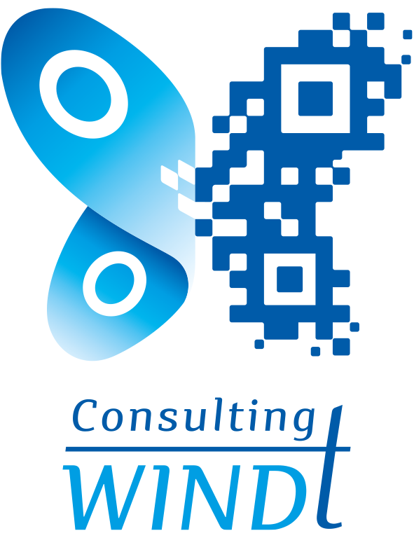 A digital blue butterfly and underneath it the words "Consulting WINDT" in blue.